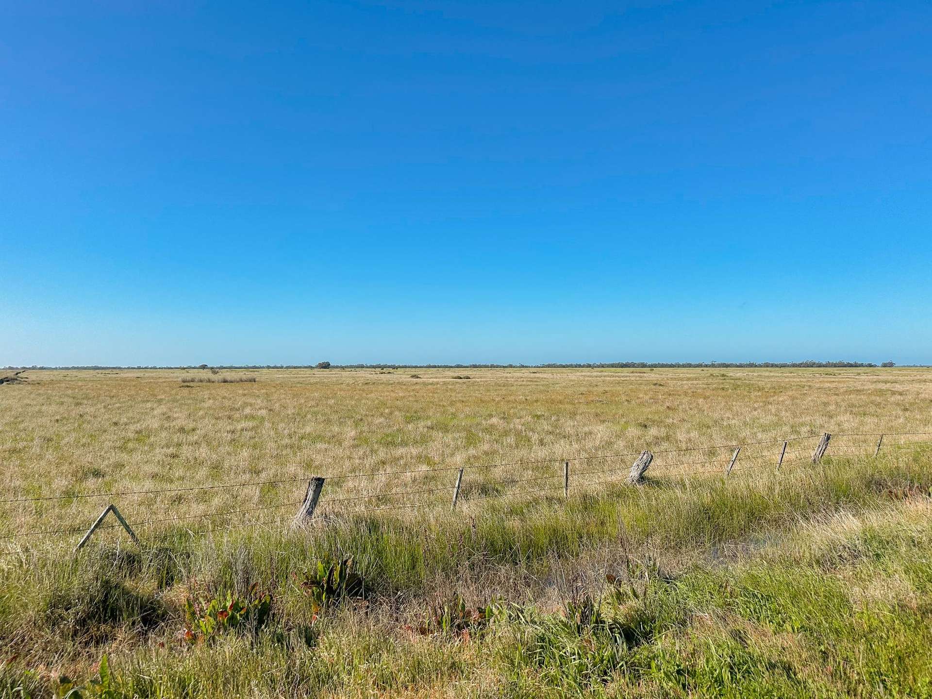 Lot 1,  Lalbert-Kerang Road, Cannie For Sale by Farmbuy.com - image 2