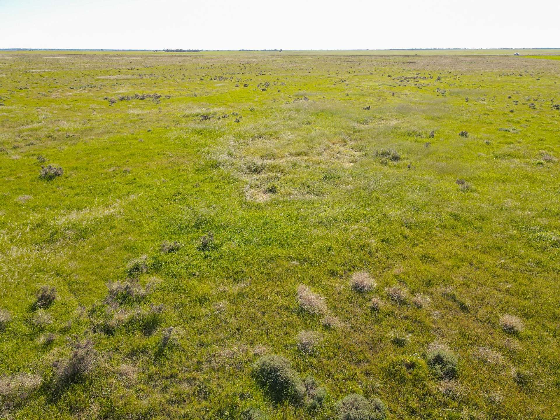Lot 1,  Lalbert-Kerang Road, Cannie For Sale by Farmbuy.com - image 16