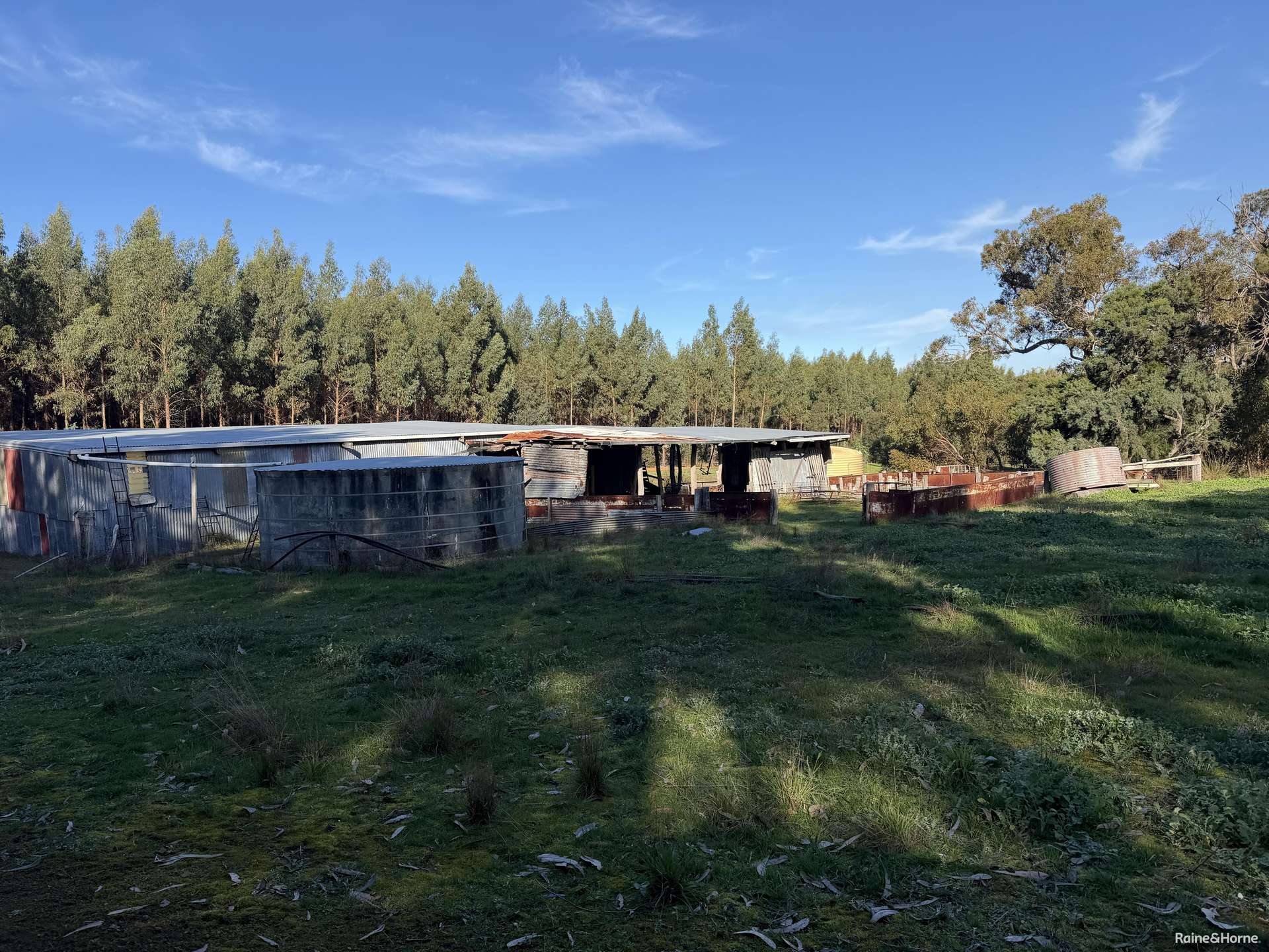 681 Chorkerup Road, Narrikup For Sale by Farmbuy.com - image 4