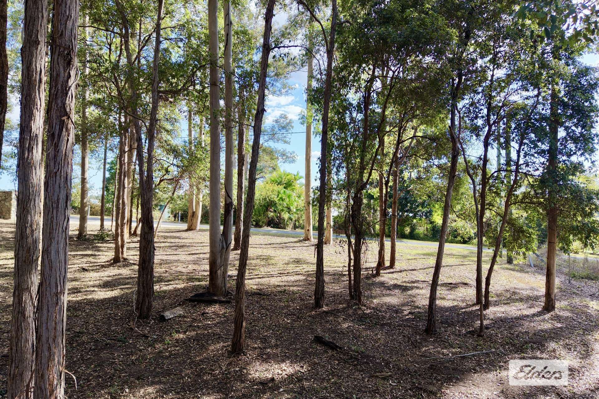 45 Bickle Road, Veteran For Sale by Farmbuy.com - image 9