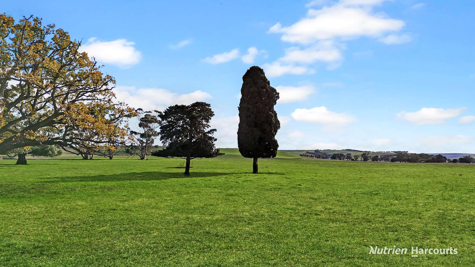4168 Glenelg Highway, Coleraine For Sale by Farmbuy.com - image 12