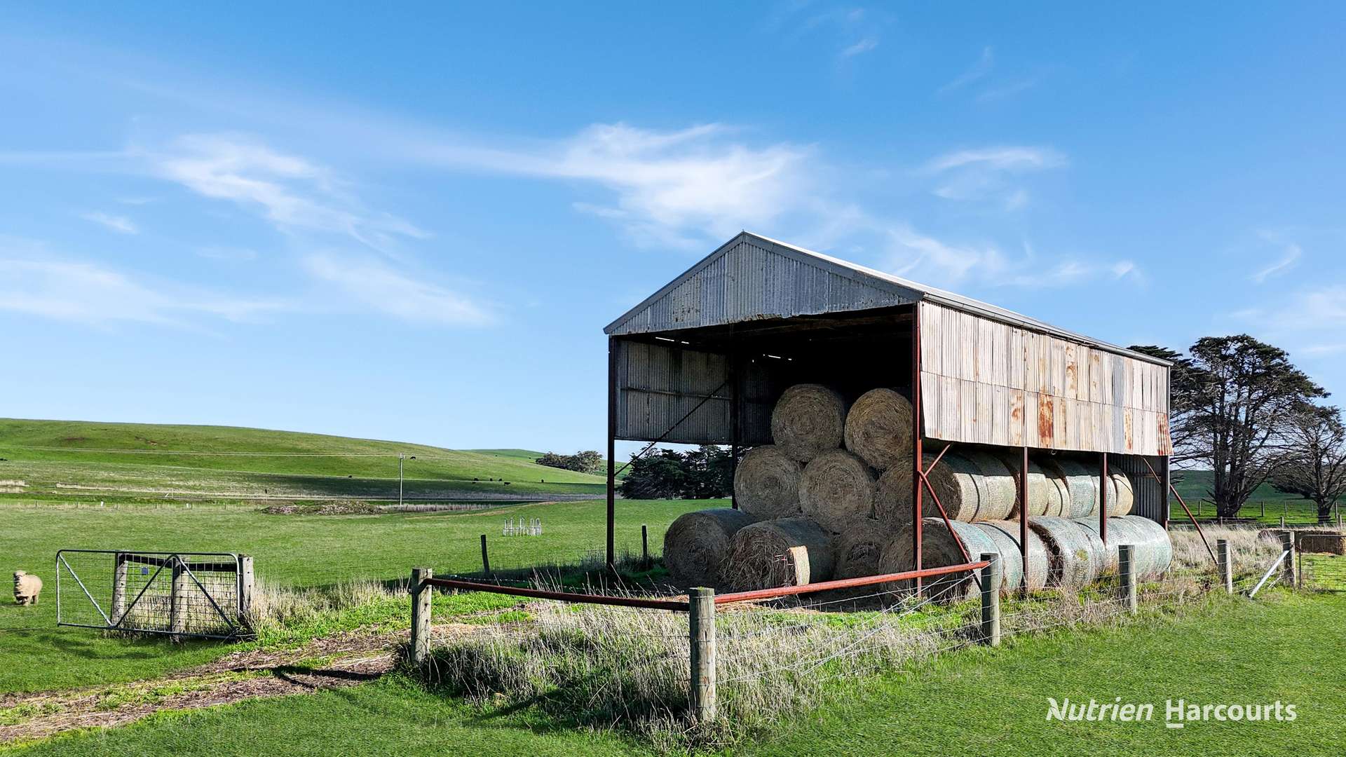 4168 Glenelg Highway, Coleraine For Sale by Farmbuy.com - image 24
