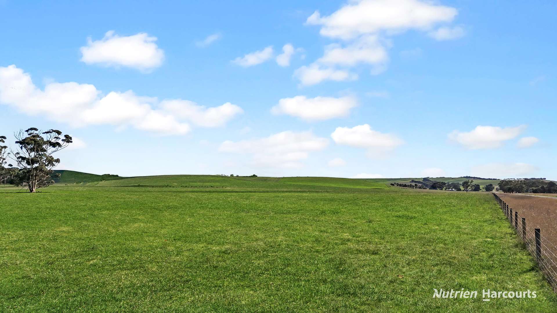 4168 Glenelg Highway, Coleraine For Sale by Farmbuy.com - image 13