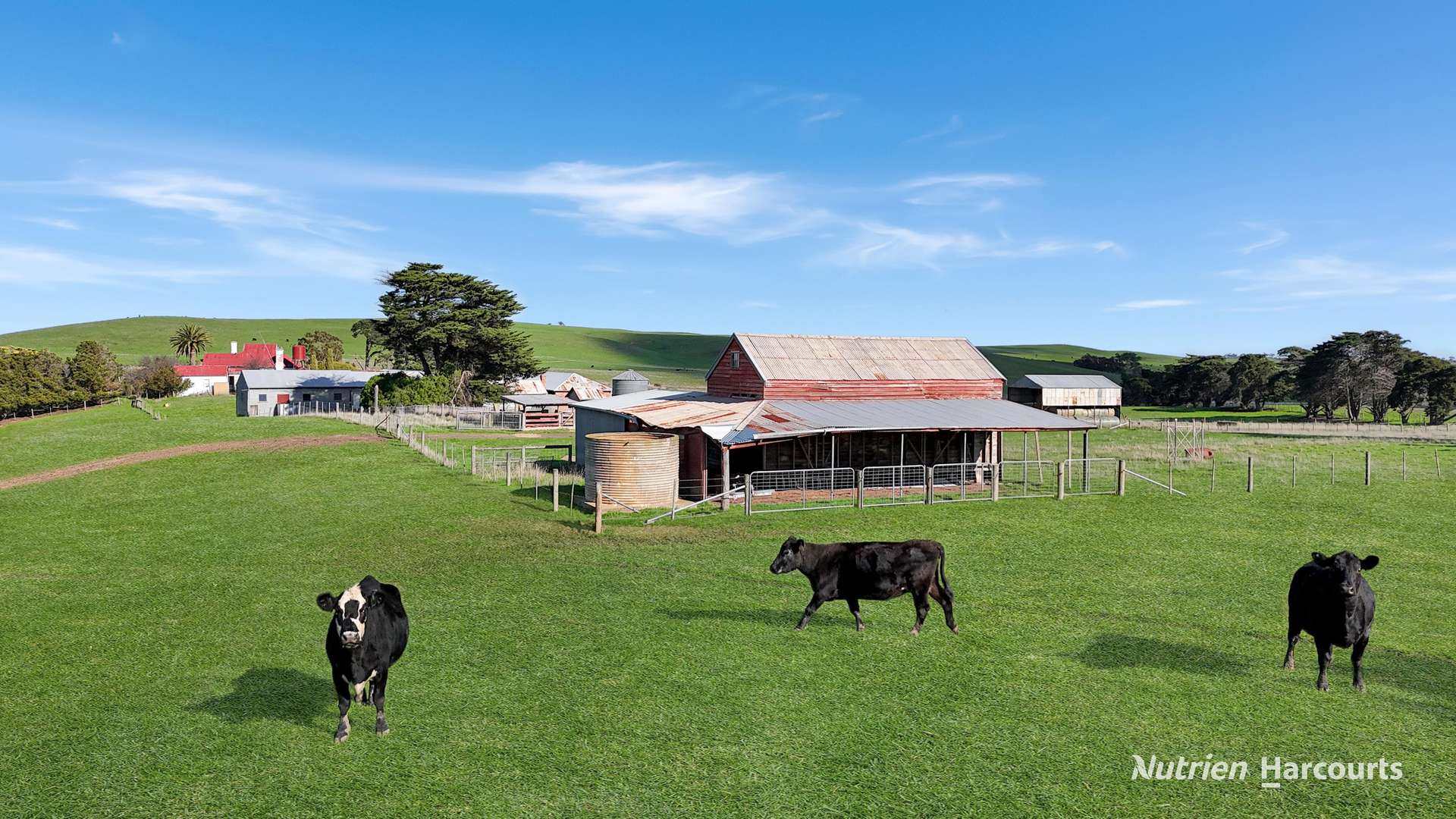 4168 Glenelg Highway, Coleraine For Sale by Farmbuy.com - image 19