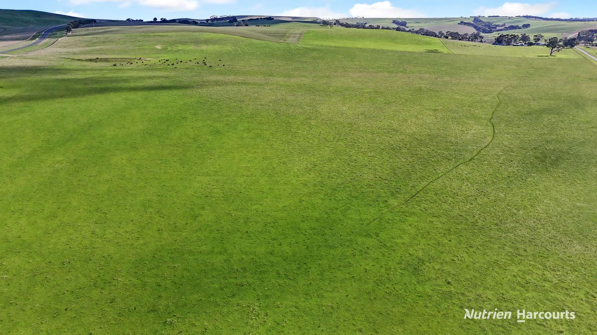 4168 Glenelg Highway, Coleraine For Sale by Farmbuy.com - image 14