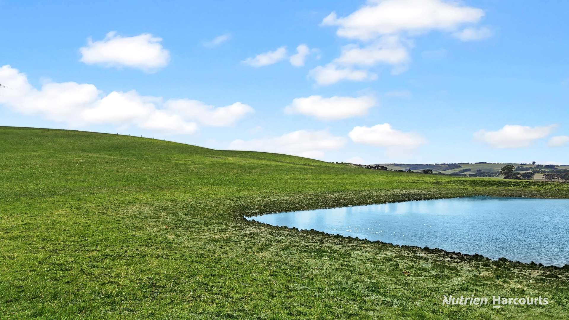 4168 Glenelg Highway, Coleraine For Sale by Farmbuy.com - image 10