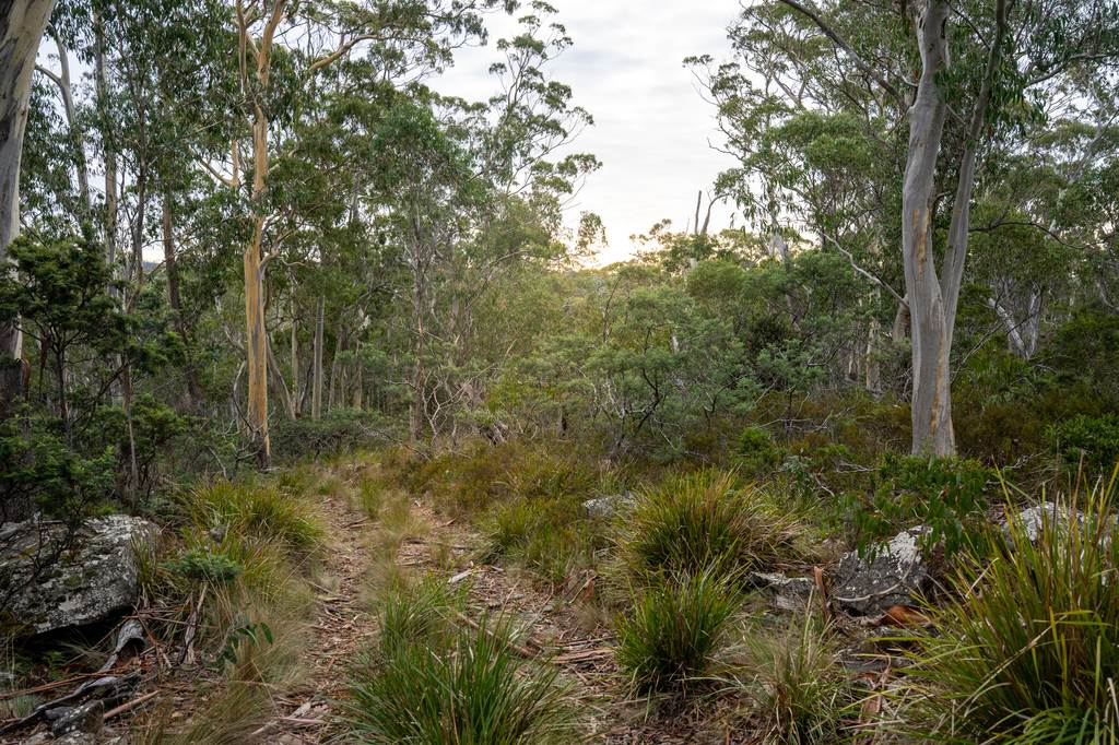 'Hardings Bay Retreat'&comma; Lake Leake Road, Lake Leake TAS 7210