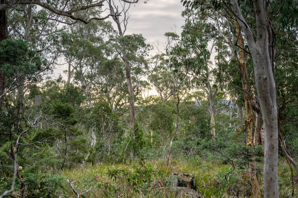 'Hardings Bay Retreat', Lake Leake Road, Lake Leake TAS 7210