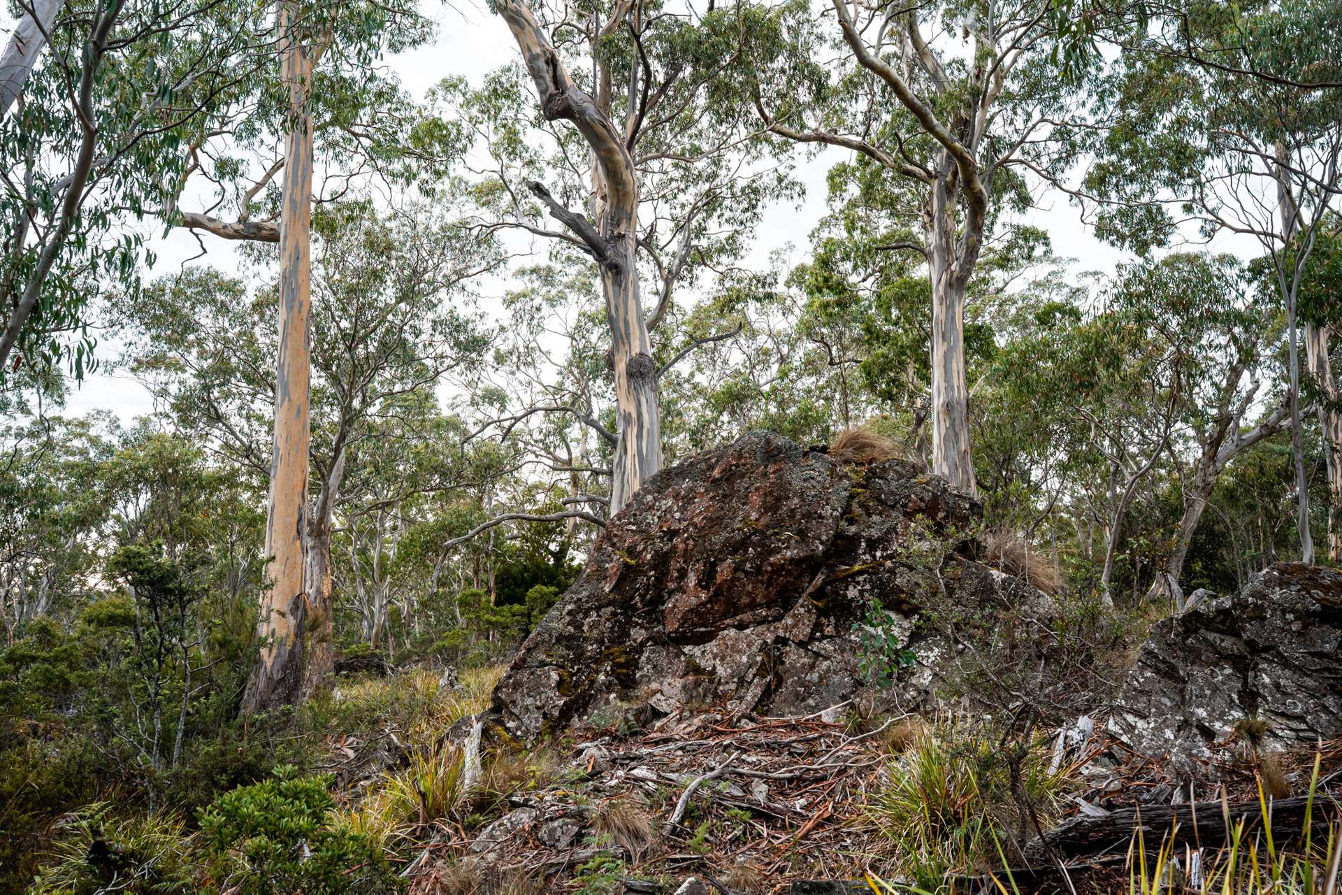 'Hardings Bay Retreat', Lake Leake Road, Lake Leake For Sale by Farmbuy.com - image 26