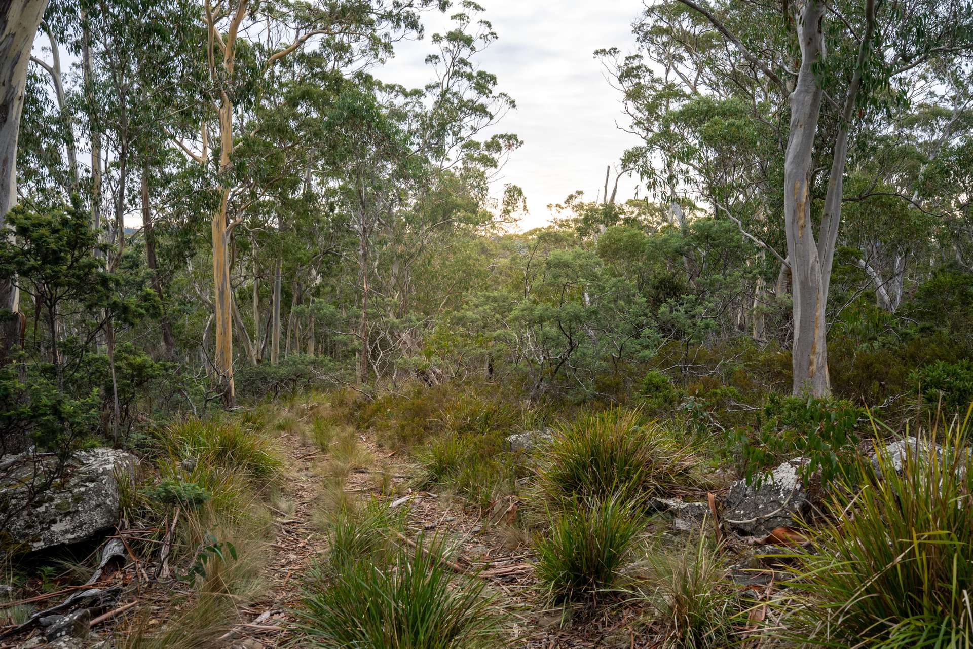 'Hardings Bay Retreat', Lake Leake Road, Lake Leake For Sale by Farmbuy.com - image 1
