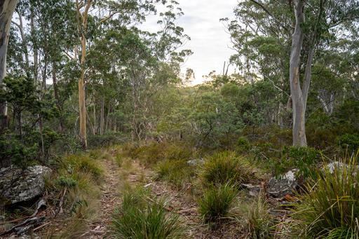'Hardings Bay Retreat'&comma; Lake Leake Road, Lake Leake TAS 7210