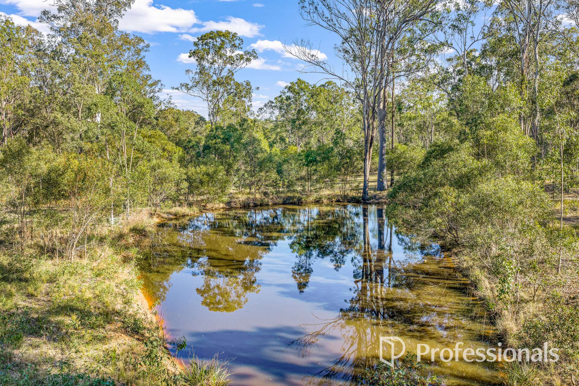 1723 Harvey Siding Road, Curra For Sale by Farmbuy.com - image 22