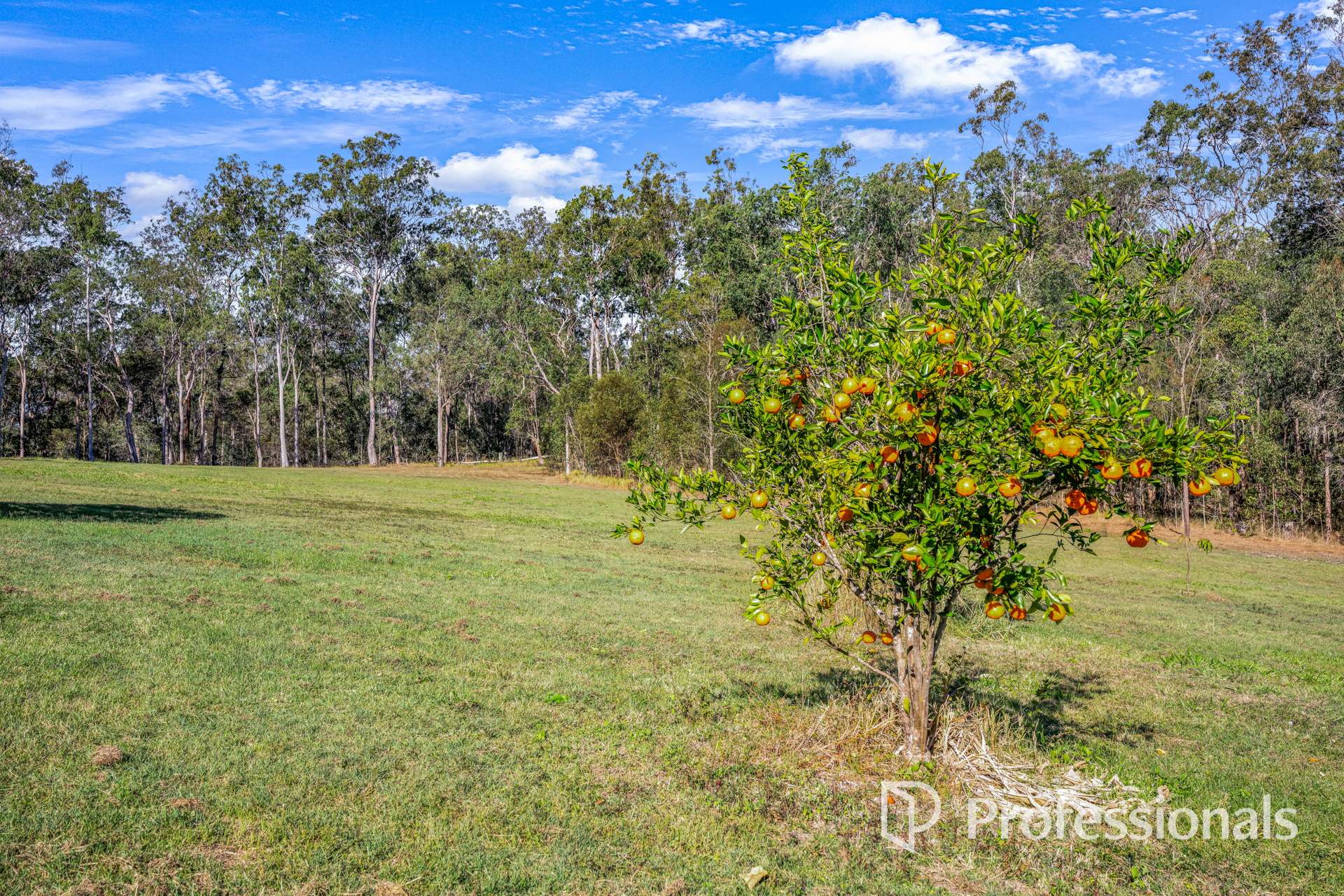 1723 Harvey Siding Road, Curra For Sale by Farmbuy.com - image 20
