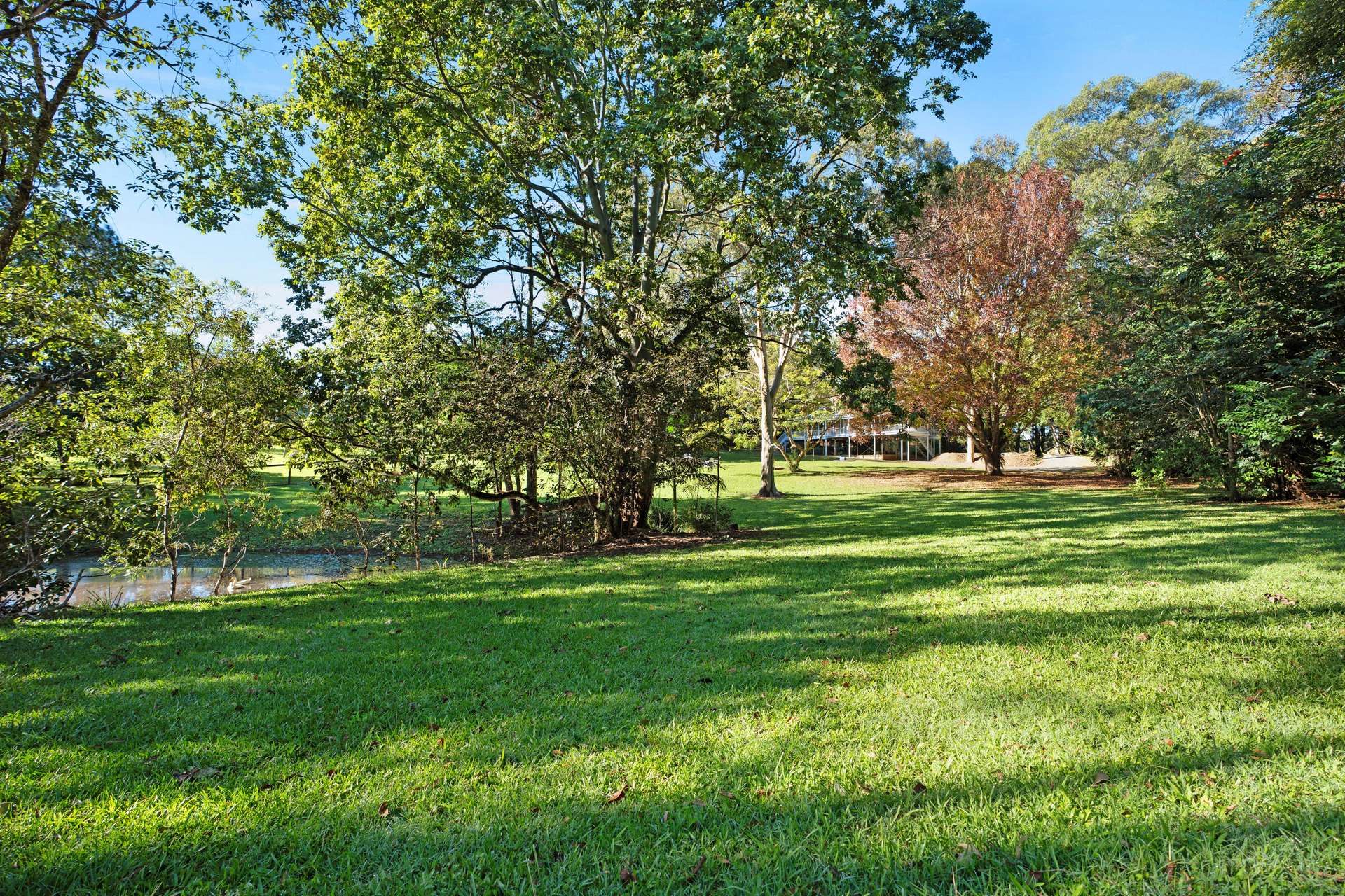 361 Eumundi Range Road, Eumundi For Sale by Farmbuy.com - image 20