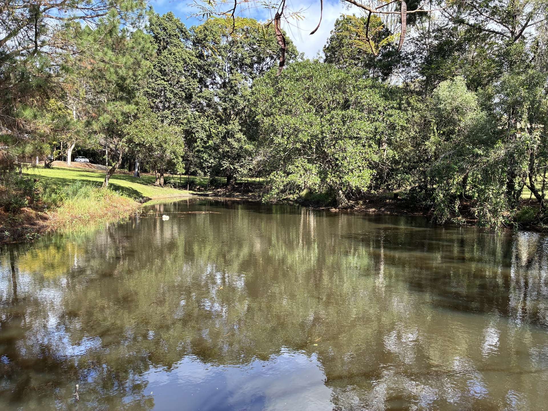 361 Eumundi Range Road, Eumundi For Sale by Farmbuy.com - image 19