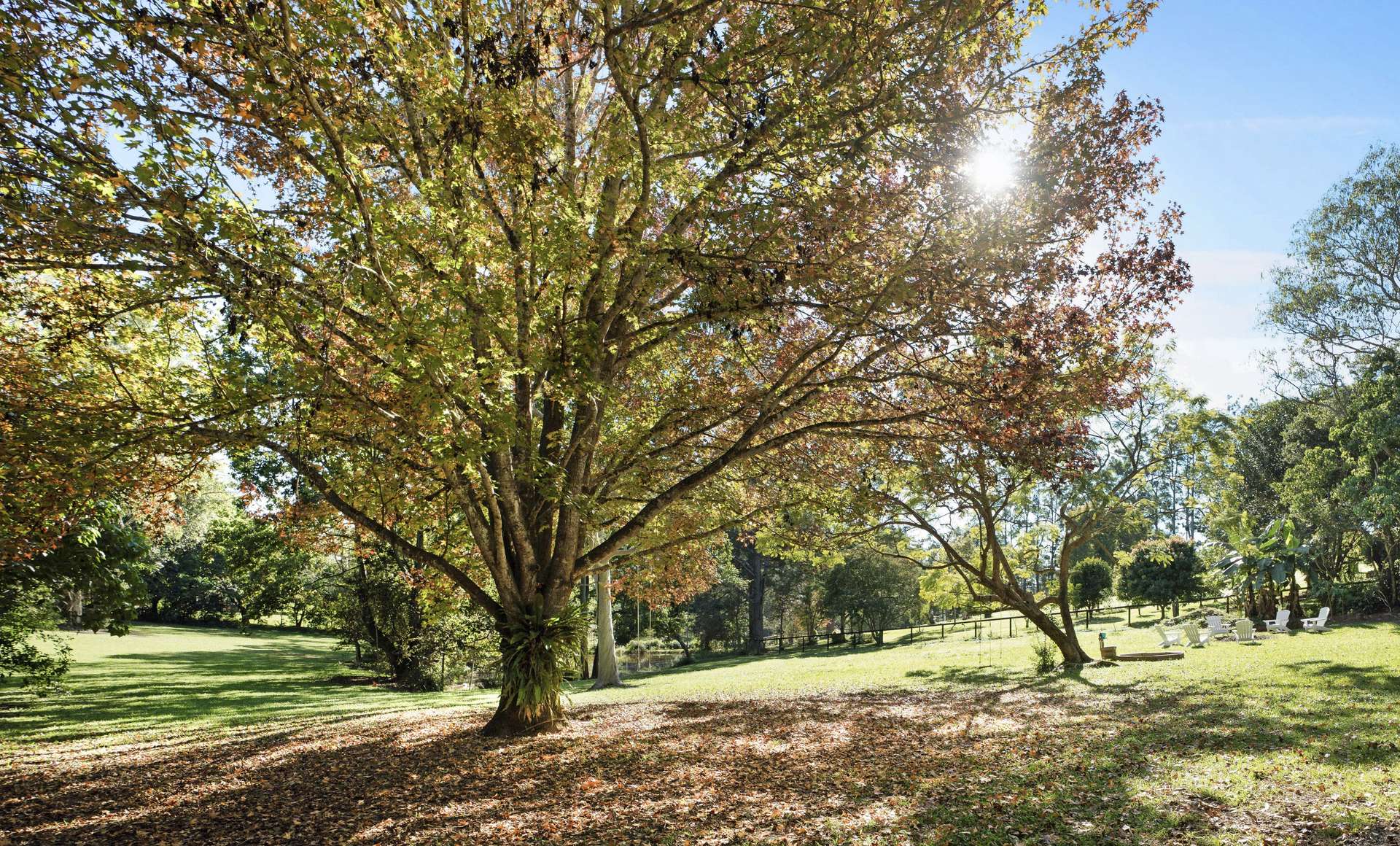 361 Eumundi Range Road, Eumundi For Sale by Farmbuy.com - image 3