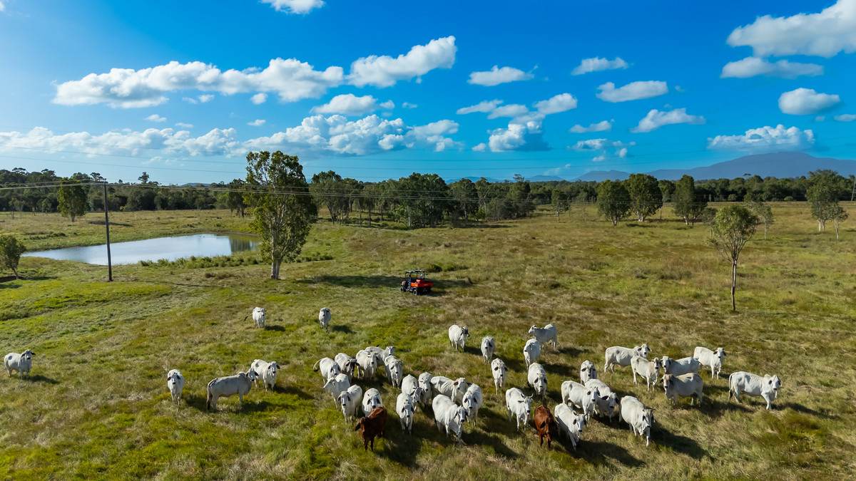 2085 Crystal Brook Road, Crystal Brook For Sale by Farmbuy.com - image 6