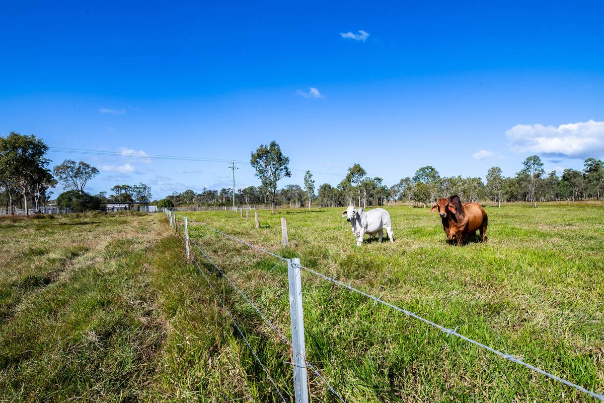 2085 Crystal Brook Road, Crystal Brook For Sale by Farmbuy.com - image 16