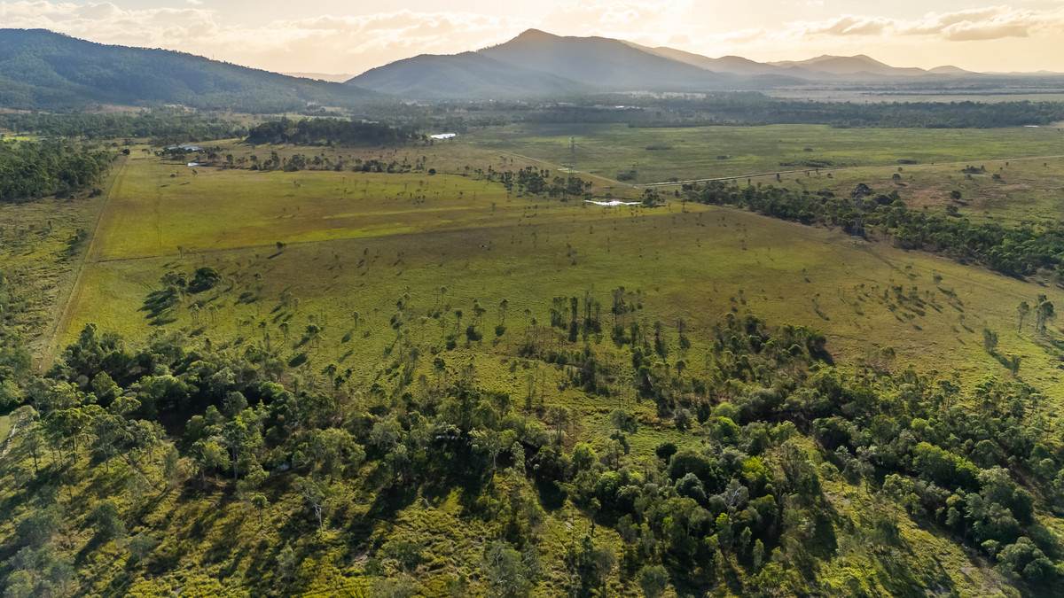 2085 Crystal Brook Road, Crystal Brook For Sale by Farmbuy.com - image 7