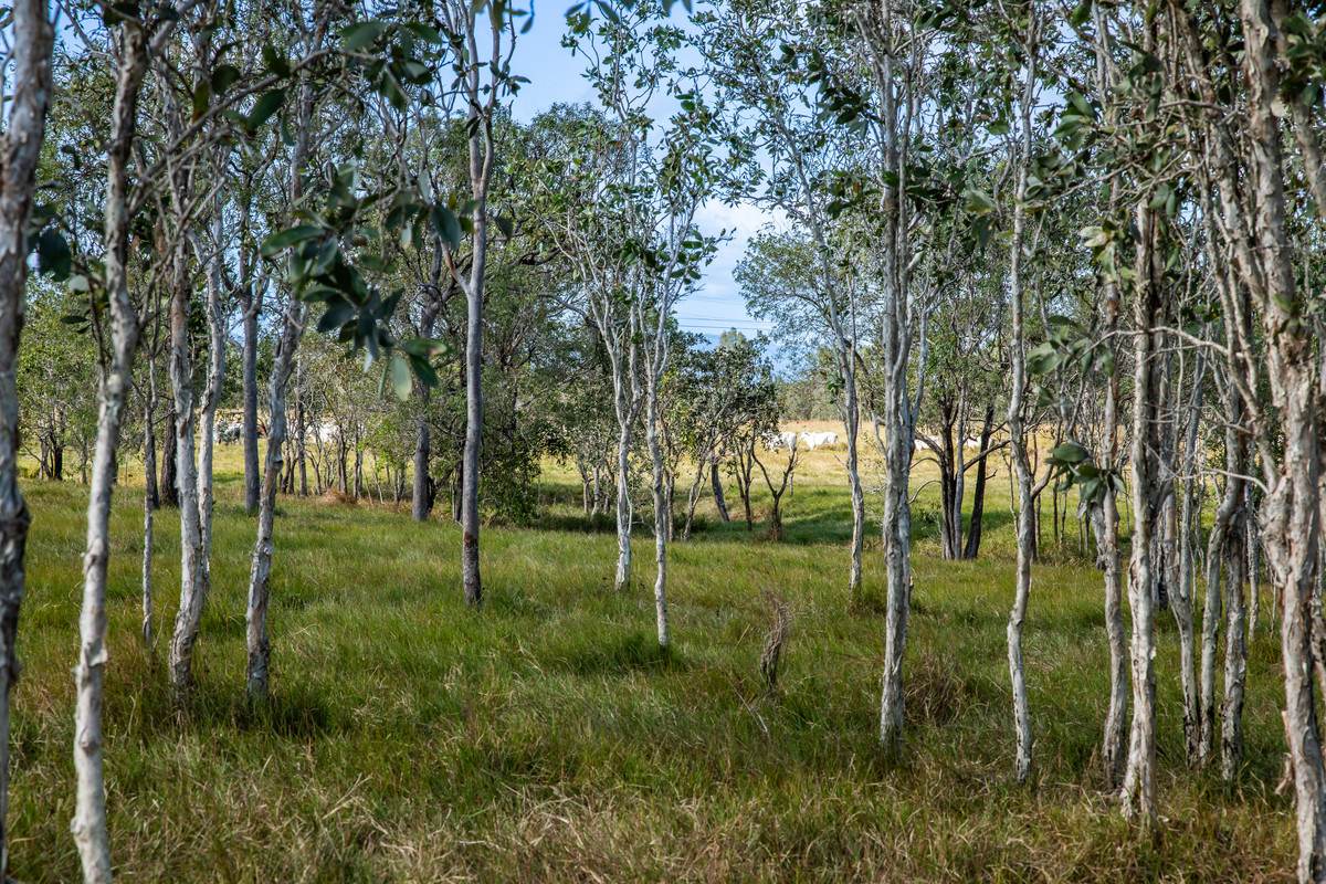 2085 Crystal Brook Road, Crystal Brook For Sale by Farmbuy.com - image 17