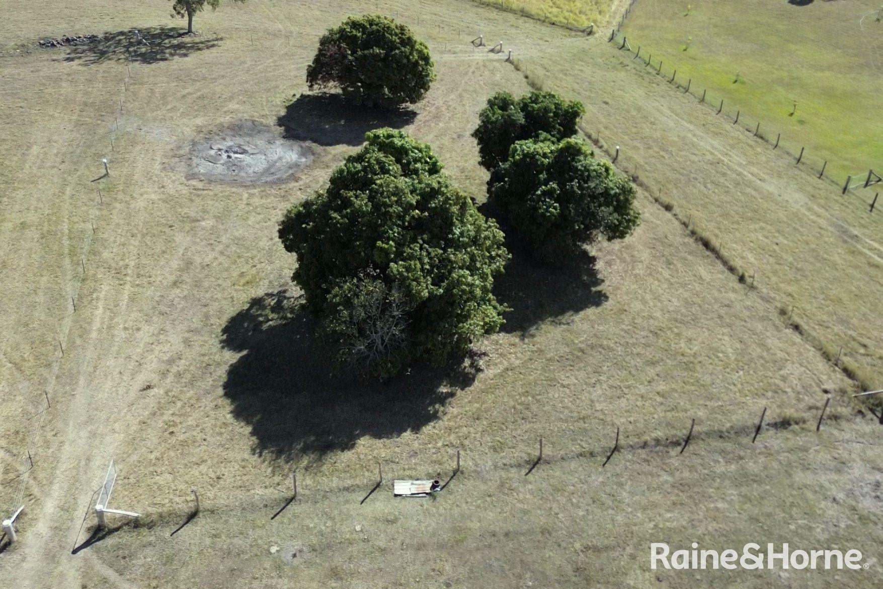 Lot 6 & Lot 25 Tunnel Road, Boolboonda For Sale by Farmbuy.com - image 7