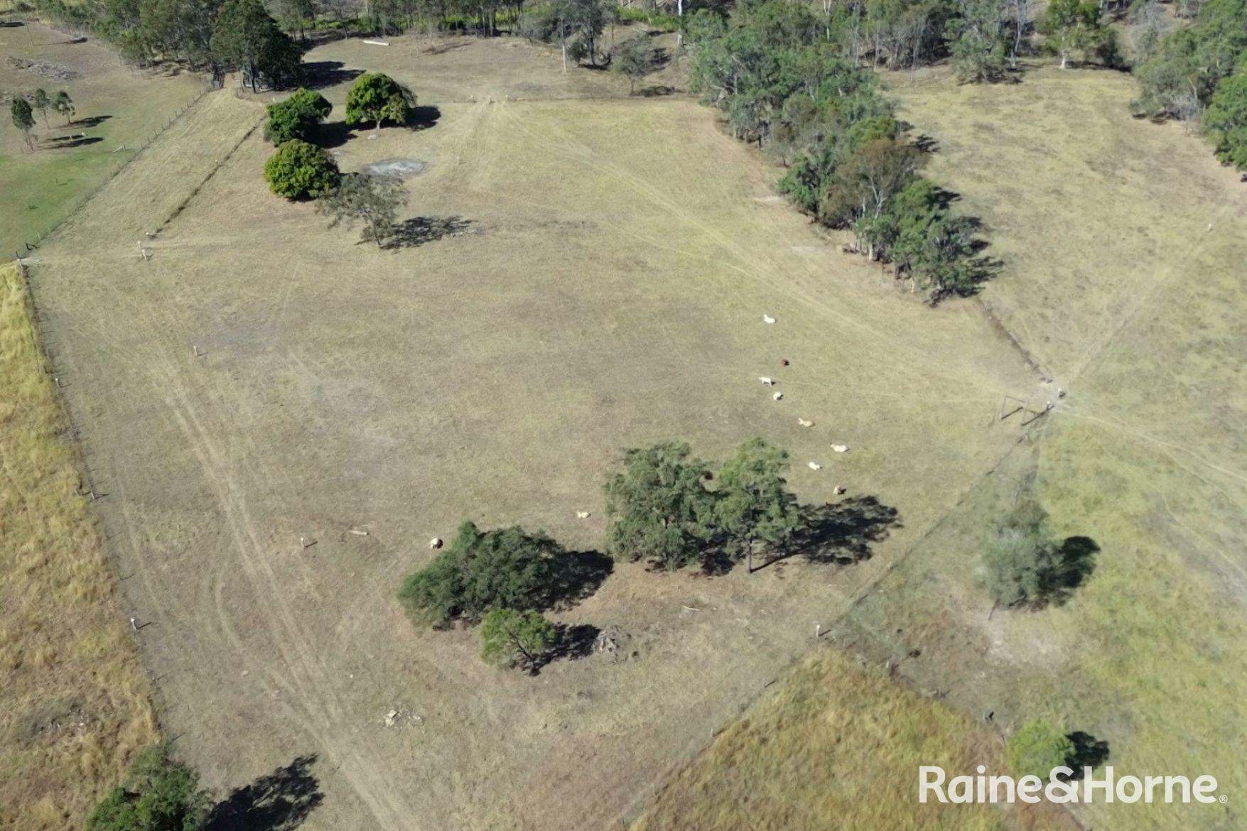 Lot 6 & Lot 25 Tunnel Road, Boolboonda For Sale by Farmbuy.com - image 22