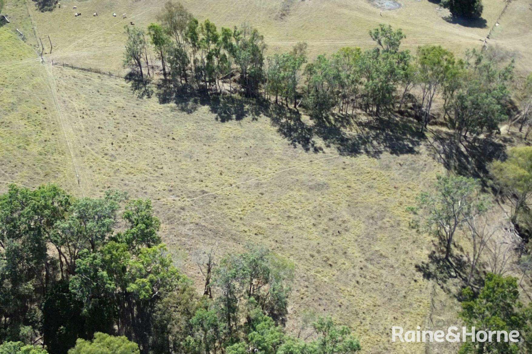 Lot 6 & Lot 25 Tunnel Road, Boolboonda For Sale by Farmbuy.com - image 21