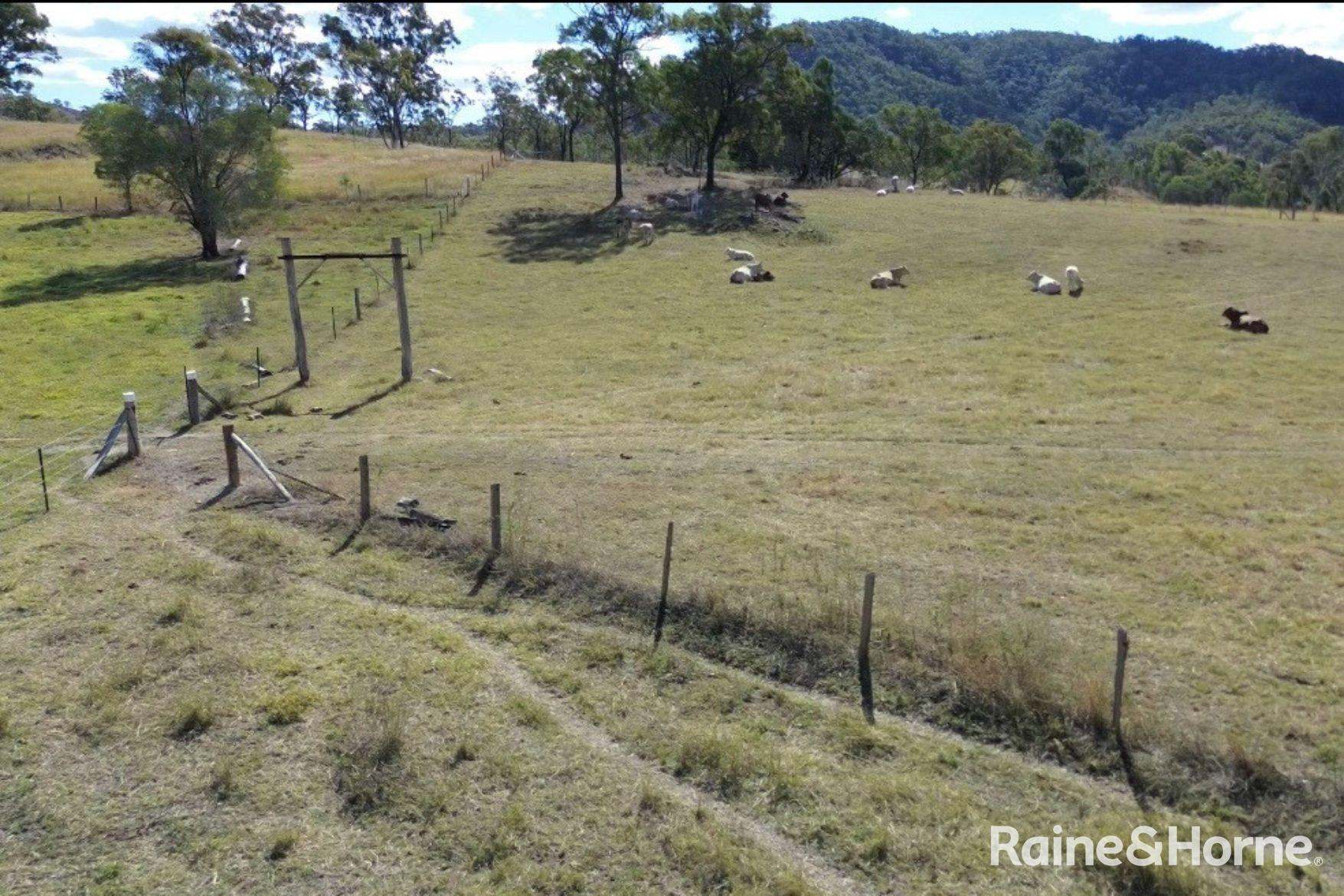 Lot 6 & Lot 25 Tunnel Road, Boolboonda For Sale by Farmbuy.com - image 13