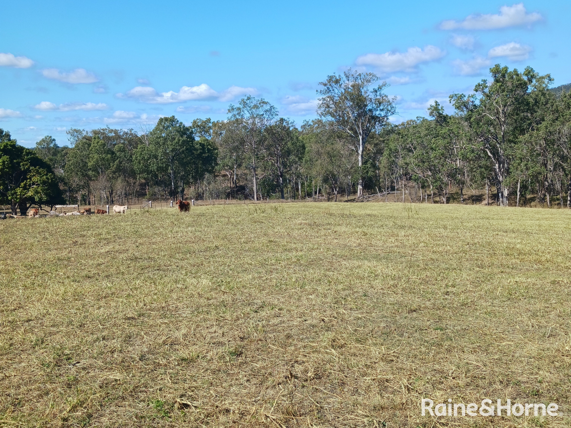 Lot 6 & Lot 25 Tunnel Road, Boolboonda For Sale by Farmbuy.com - image 10