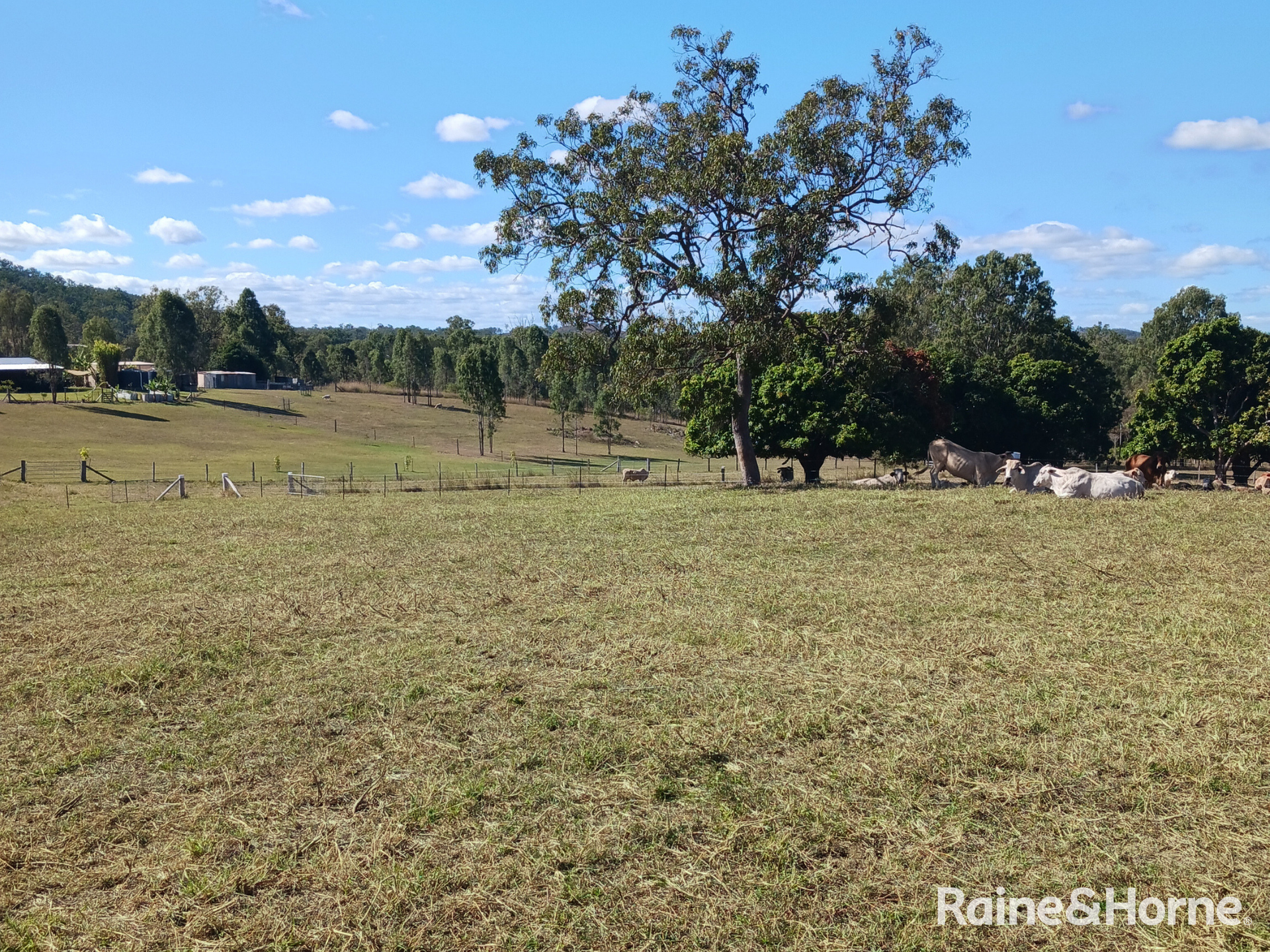 Lot 6 & Lot 25 Tunnel Road, Boolboonda For Sale by Farmbuy.com - image 11