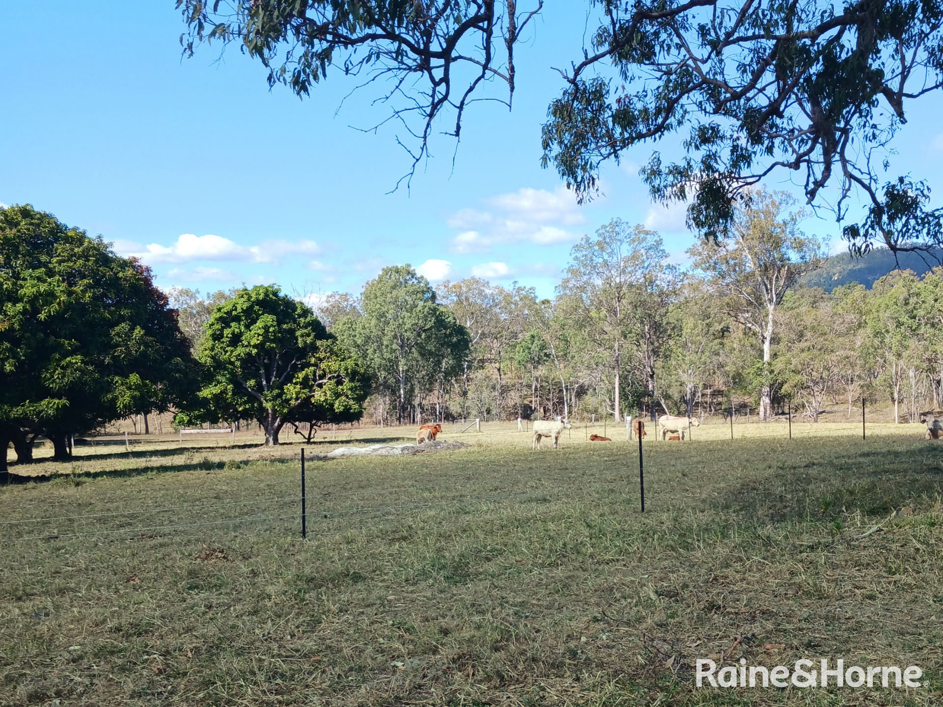 Lot 6 & Lot 25 Tunnel Road, Boolboonda For Sale by Farmbuy.com - image 6