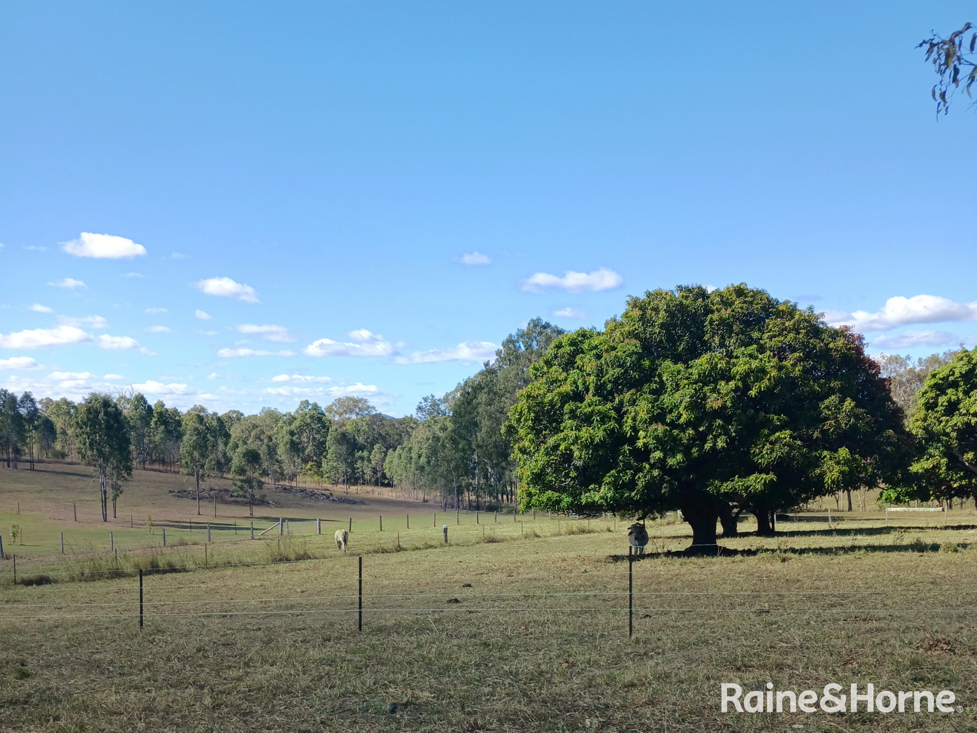 Lot 6 & Lot 25 Tunnel Road, Boolboonda For Sale by Farmbuy.com - image 5