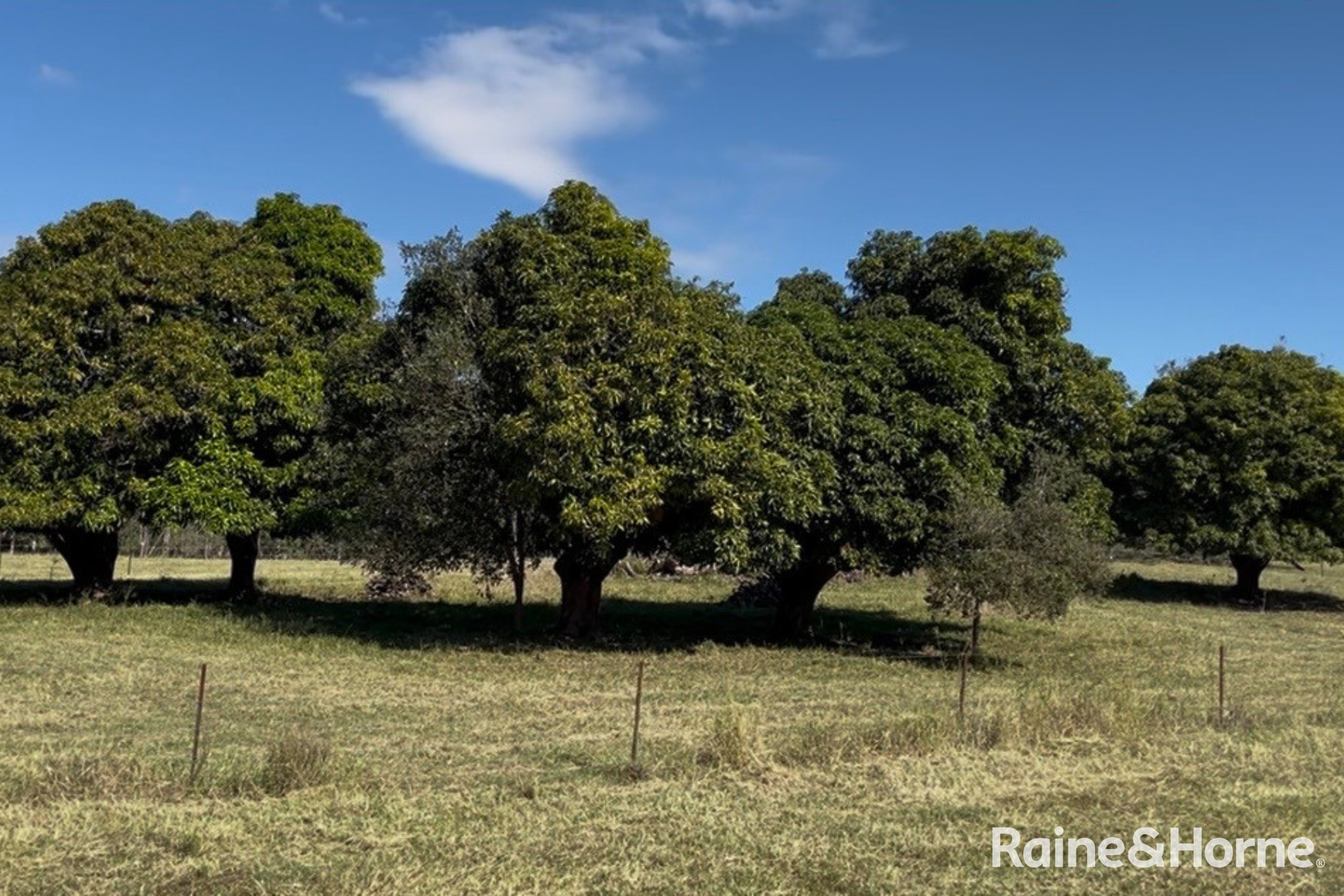 Lot 6 & Lot 25 Tunnel Road, Boolboonda For Sale by Farmbuy.com - image 6