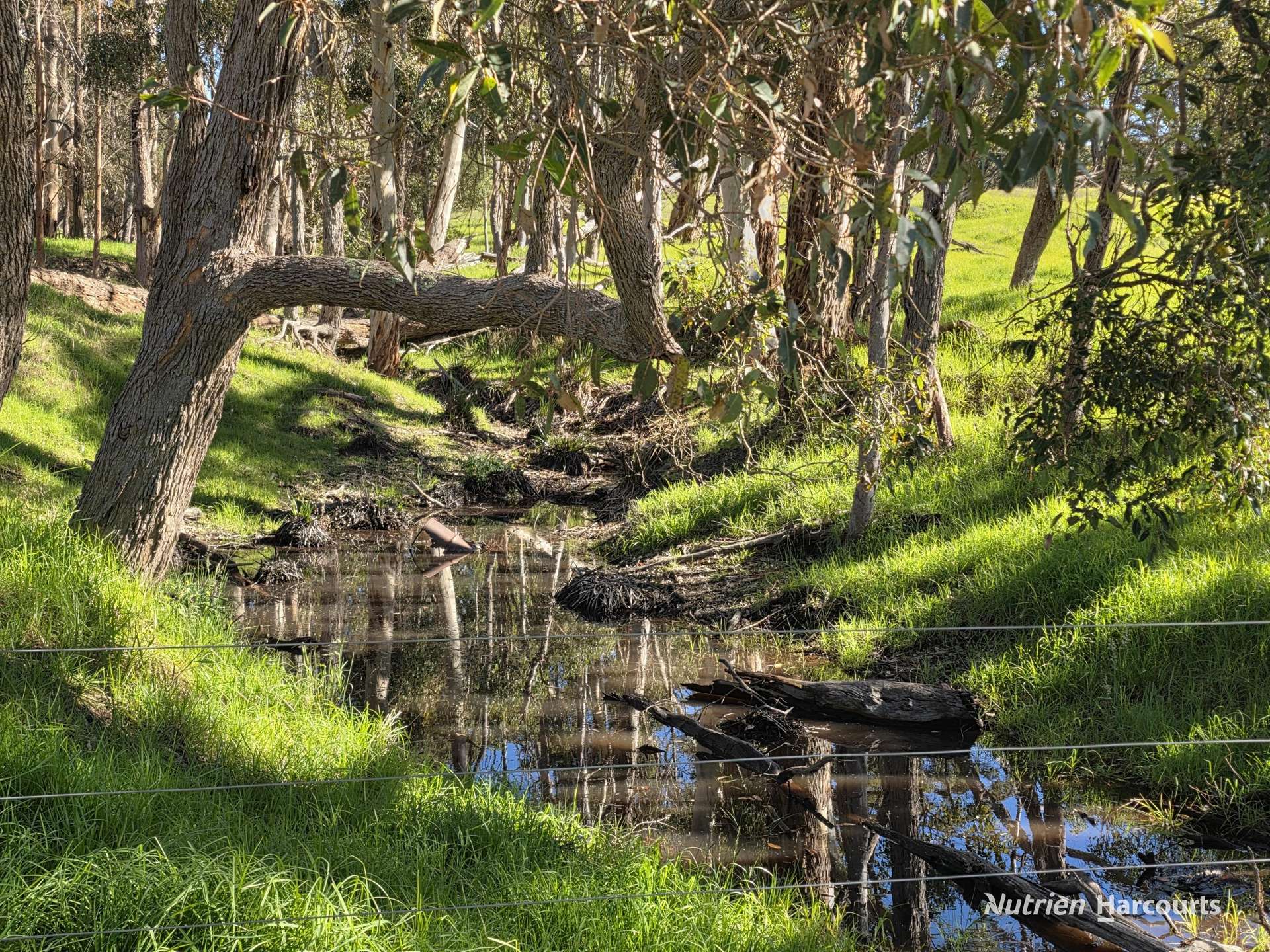 2569 Porongurup Road, Porongurup For Sale by Farmbuy.com - image 34