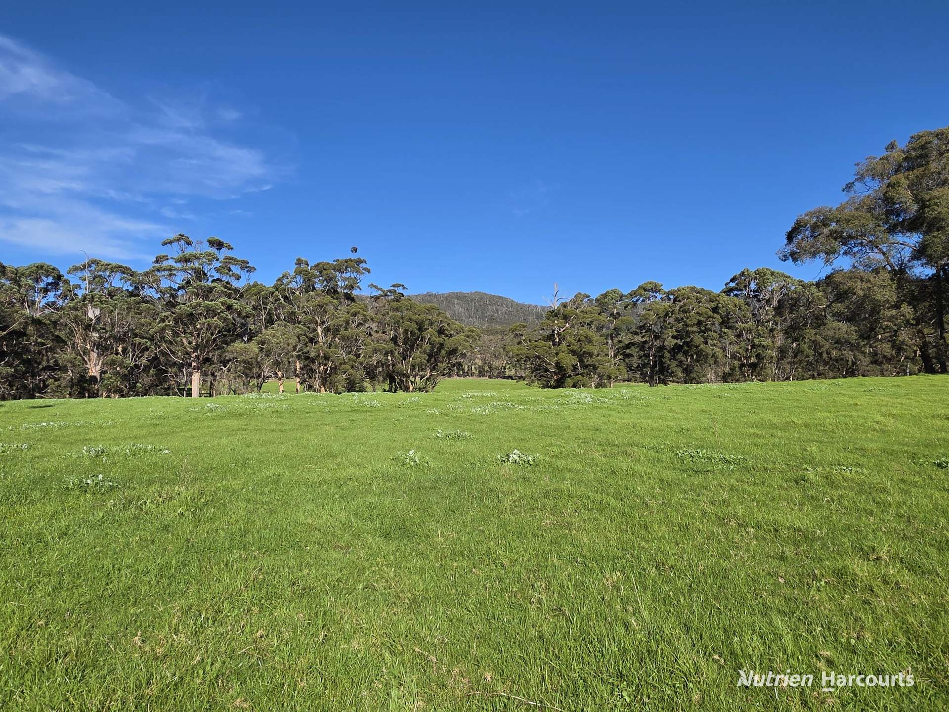 2569 Porongurup Road, Porongurup For Sale by Farmbuy.com - image 5