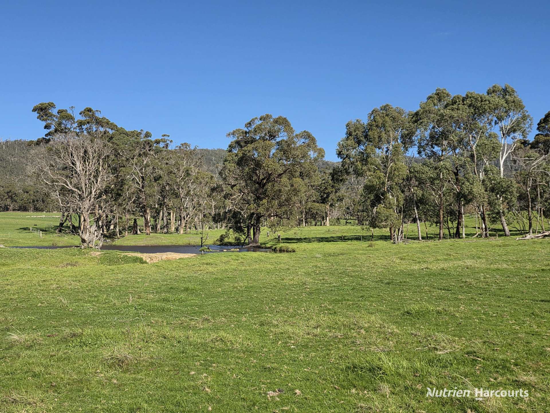 2569 Porongurup Road, Porongurup For Sale by Farmbuy.com - image 31