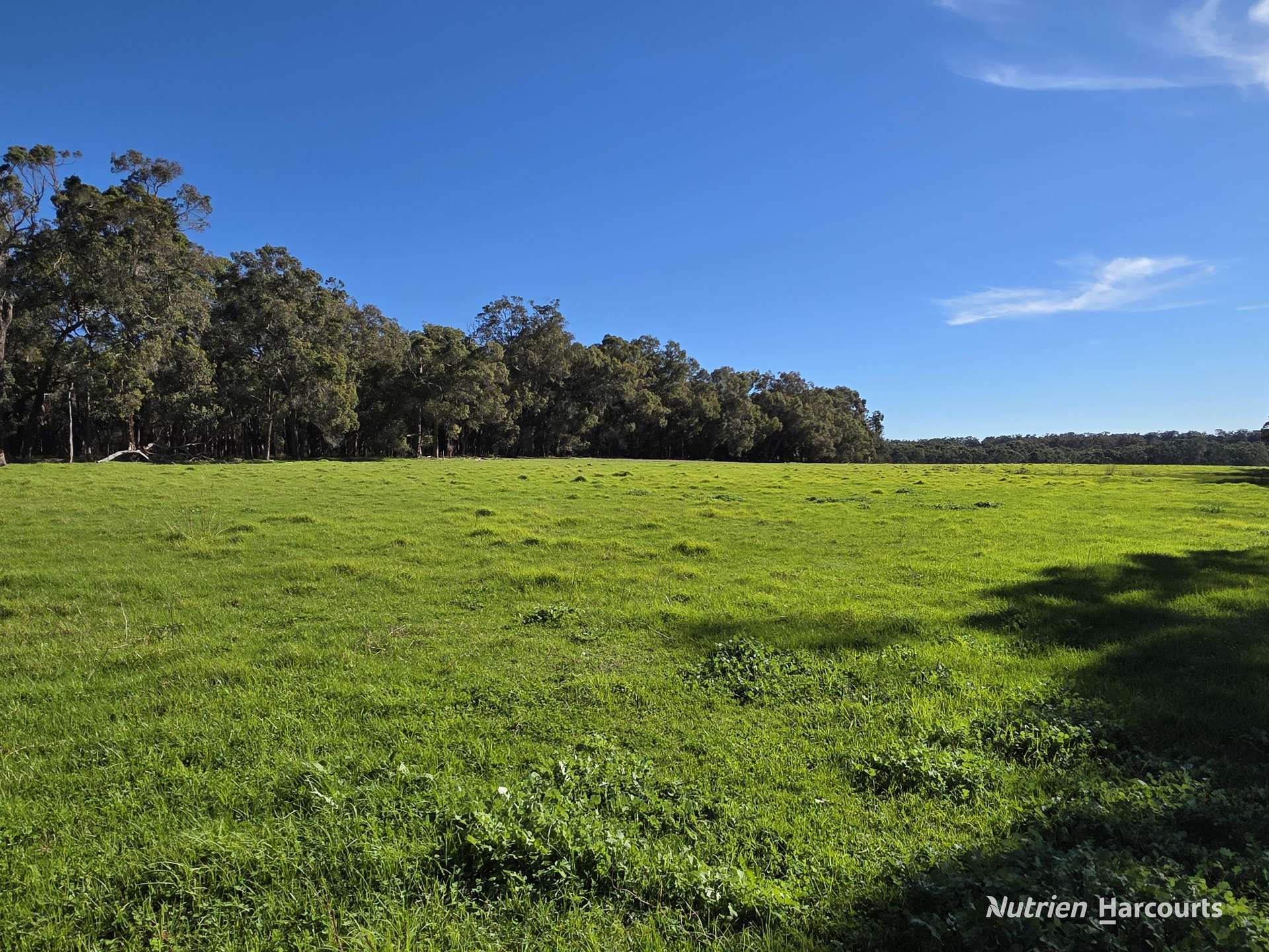 2569 Porongurup Road, Porongurup For Sale by Farmbuy.com - image 7