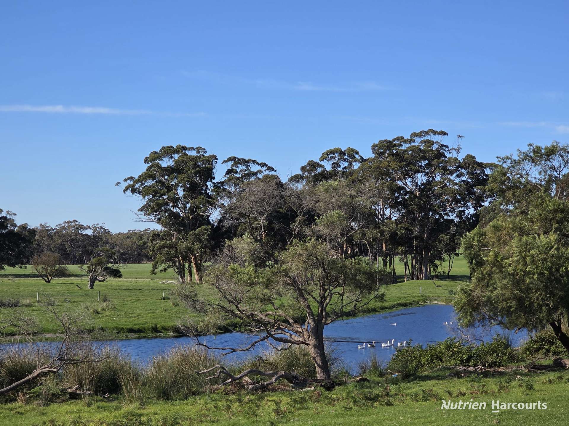 2569 Porongurup Road, Porongurup For Sale by Farmbuy.com - image 3