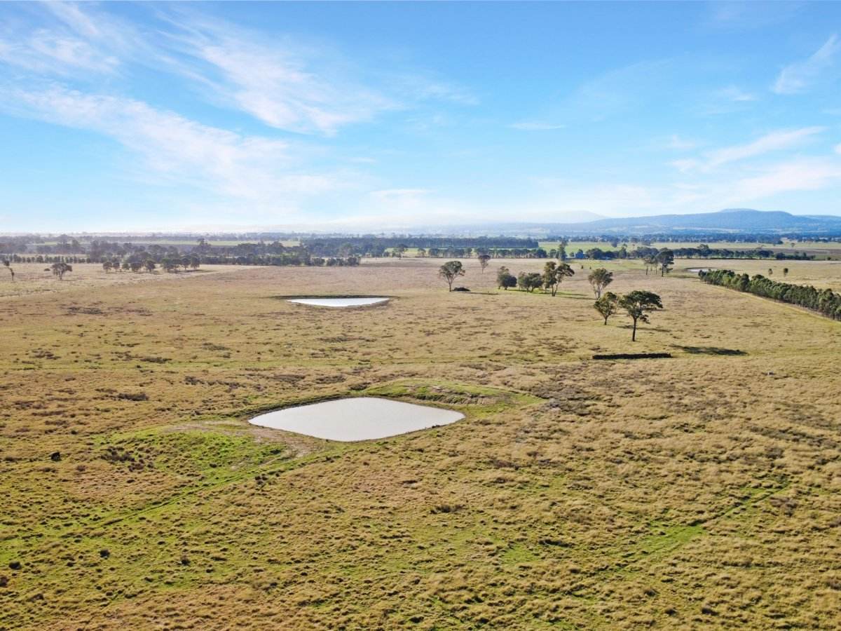 1750 Princes Highway, Hillside For Sale by Farmbuy.com - image 6