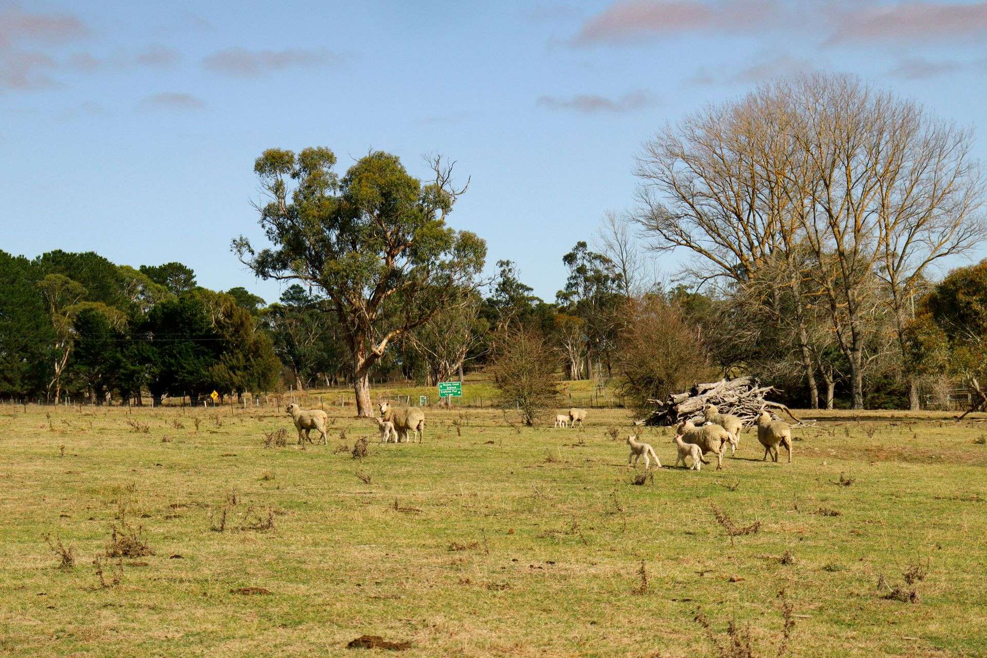 7 Aubrey Close, Braidwood For Sale by Farmbuy.com - image 2