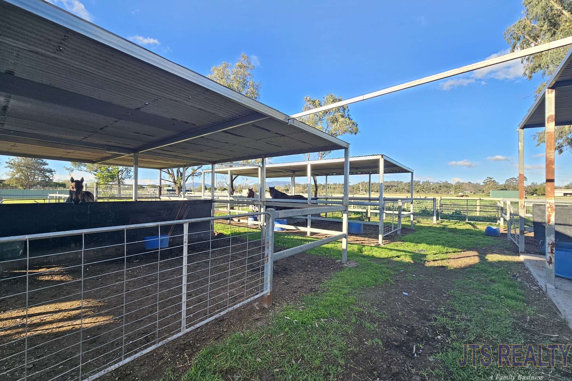 8 Sheppard Avenue, Muswellbrook For Sale by Farmbuy.com - image 4