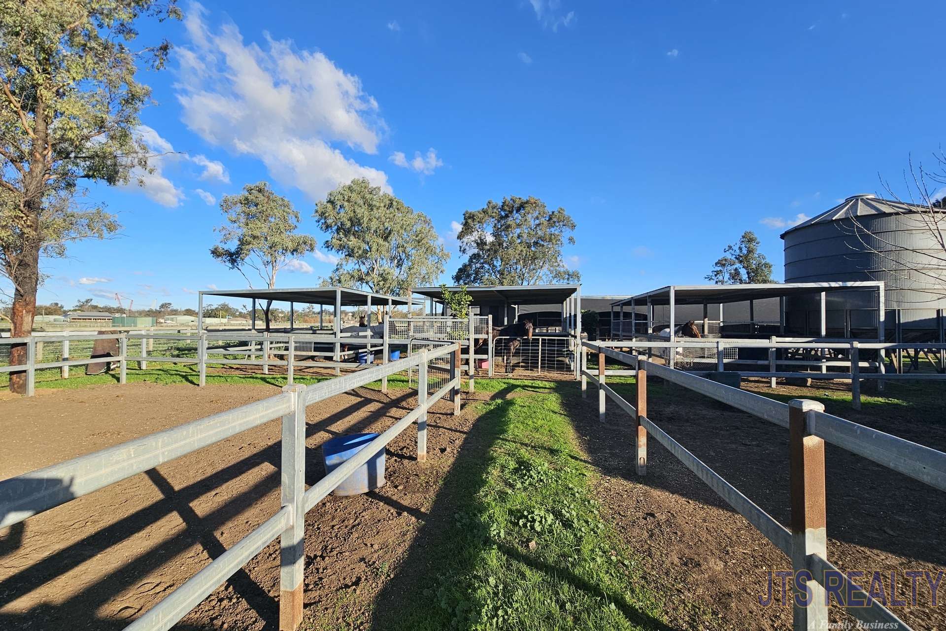 8 Sheppard Avenue, Muswellbrook For Sale by Farmbuy.com - image 3