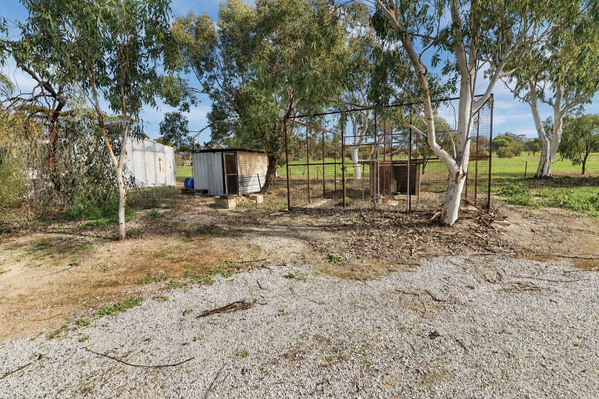 159 Manmanning Road, Wongan Hills For Sale by Farmbuy.com - image 22