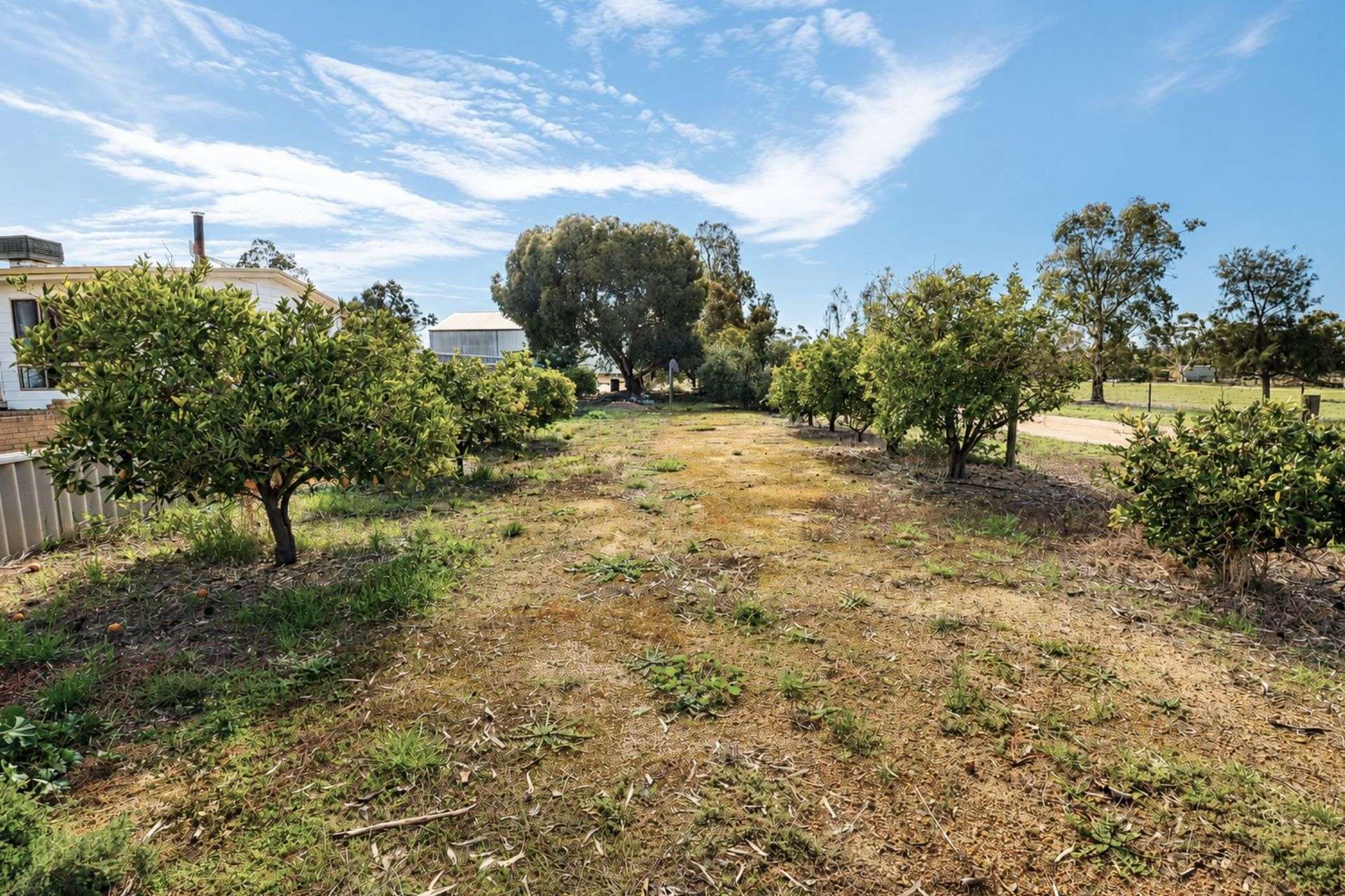 159 Manmanning Road, Wongan Hills For Sale by Farmbuy.com - image 23