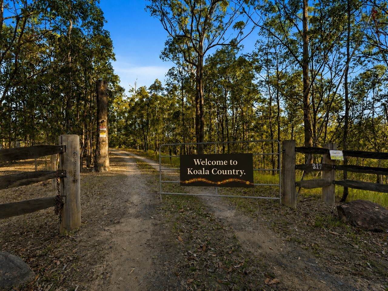 217 Tunnel Road, Imbil For Sale by Farmbuy.com - image 2