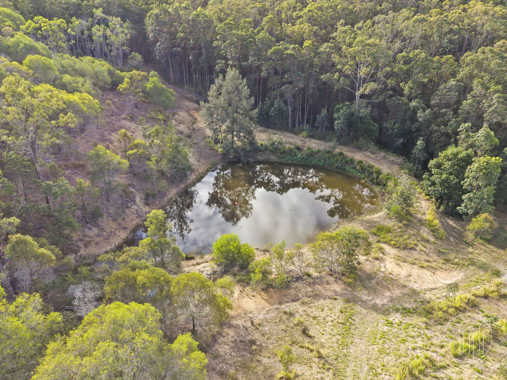 217 Tunnel Road, Imbil For Sale by Farmbuy.com - image 19
