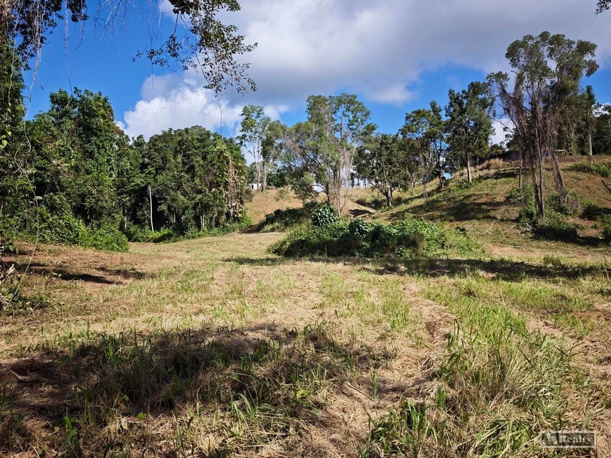 839 Silkwood-Japoon Road, No 4 Branch For Sale by Farmbuy.com - image 7