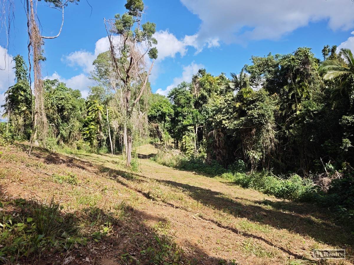 839 Silkwood-Japoon Road, No 4 Branch For Sale by Farmbuy.com - image 8