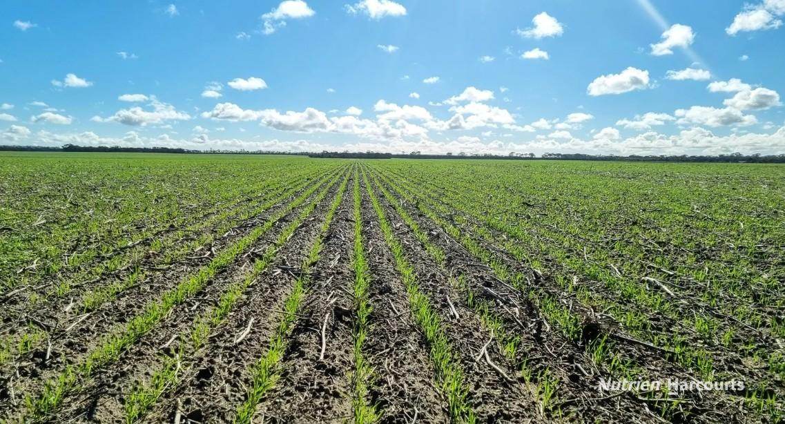 . "WIMBURRA AGGREGATION", Gnowangerup For Sale by Farmbuy.com - image 3