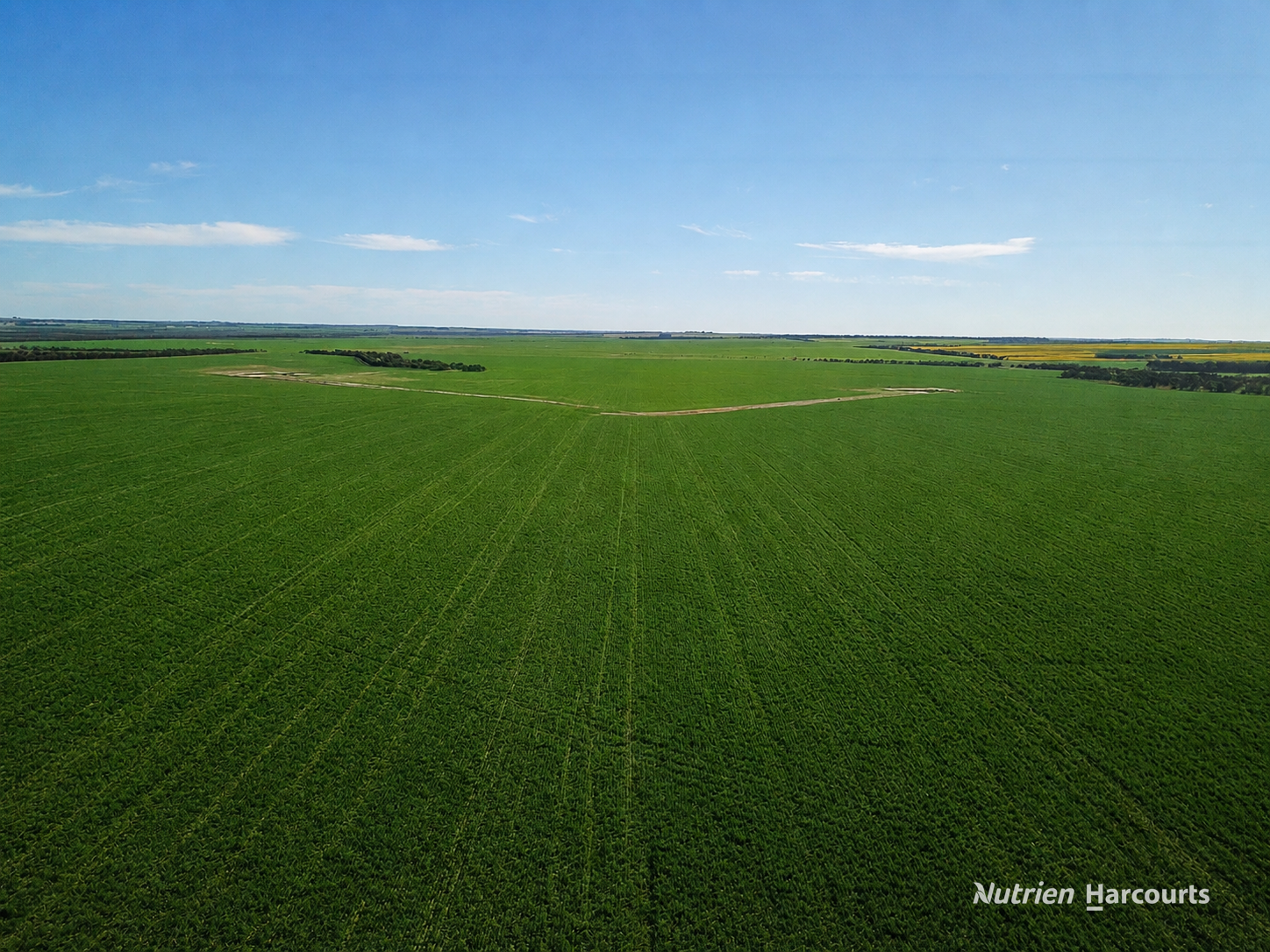. "WIMBURRA AGGREGATION", Gnowangerup For Sale by Farmbuy.com - image 20